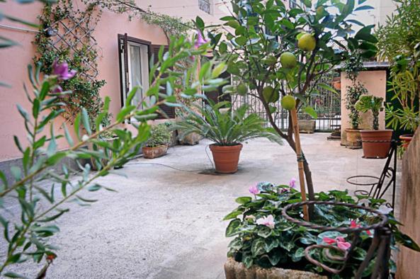 Minerva House Apartment Rome Exterior photo